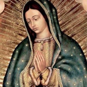 Meet your Posher, Judith